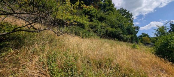 6غرفة منزل في Kaiserslautern, Germany رقم 244464 19