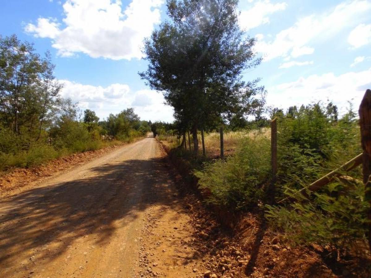  Land in Maule, Chile No. 604