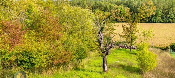 3 Schlafzimmer Haus in Aulnay-sur-Mauldre, France, Nr. 184482 5