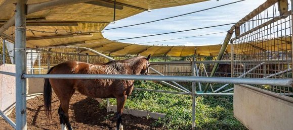 10 bedrooms Villa in Castelnuovo Berardenga, Italy No. 56461 8