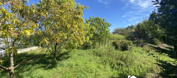 2 Schlafzimmer Haus in Mackenheim, France, Nr. 53300 15