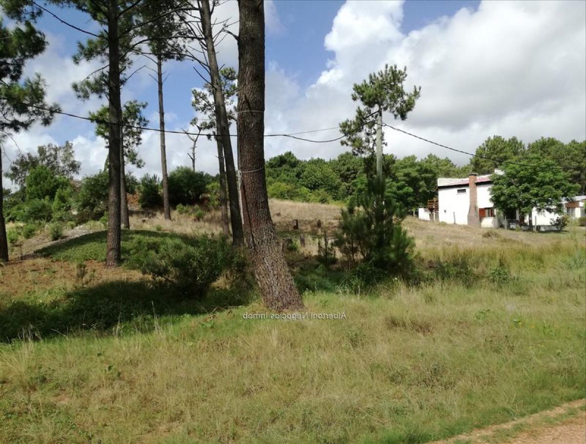  Land in Canelones, Uruguay No. 15867