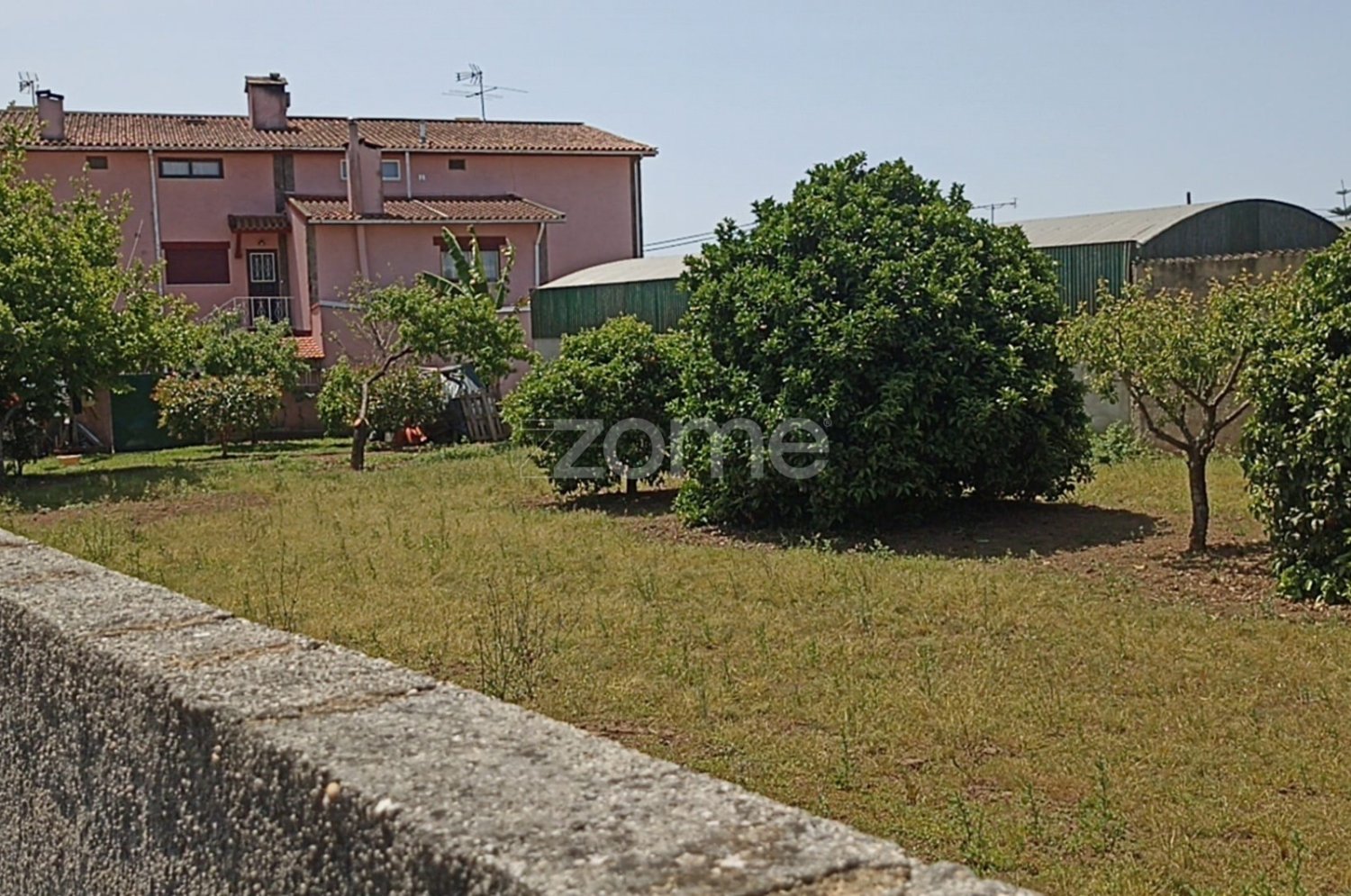  Land in Macinhata do Vouga, Portugal No. 79848