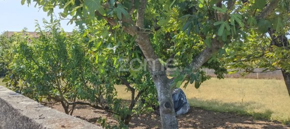  Land in Macinhata do Vouga, Portugal No. 79848 6