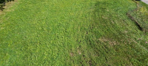  Land in Wernberg, Austria No. 100911 4