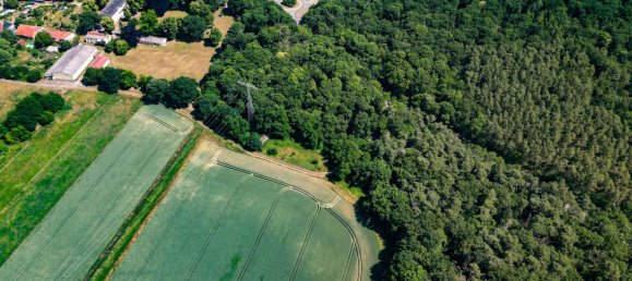 20 rooms Villa in Berlin, Germany No. 294821 10