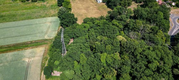 20 rooms Villa in Berlin, Germany No. 294821 11