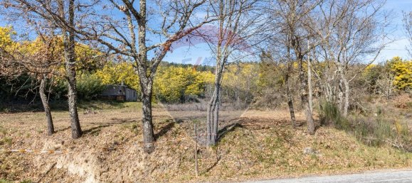 35300m² Land in Macainhas, Portugal No. 68005 4