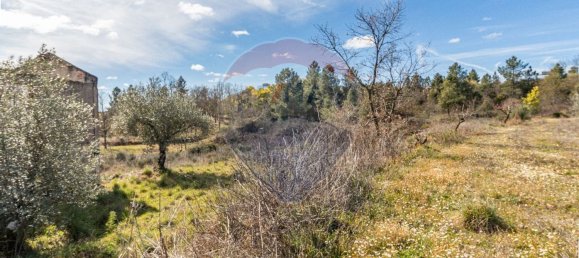 35300m² Land in Macainhas, Portugal No. 68005 6