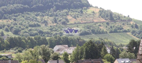 8 rooms Townhouse in Trier-Saarburg, Germany No. 239213 24