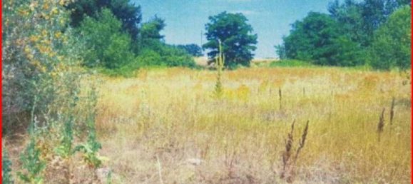 Земельный участок 4065м² в Копьяно, Италия № 260237 6