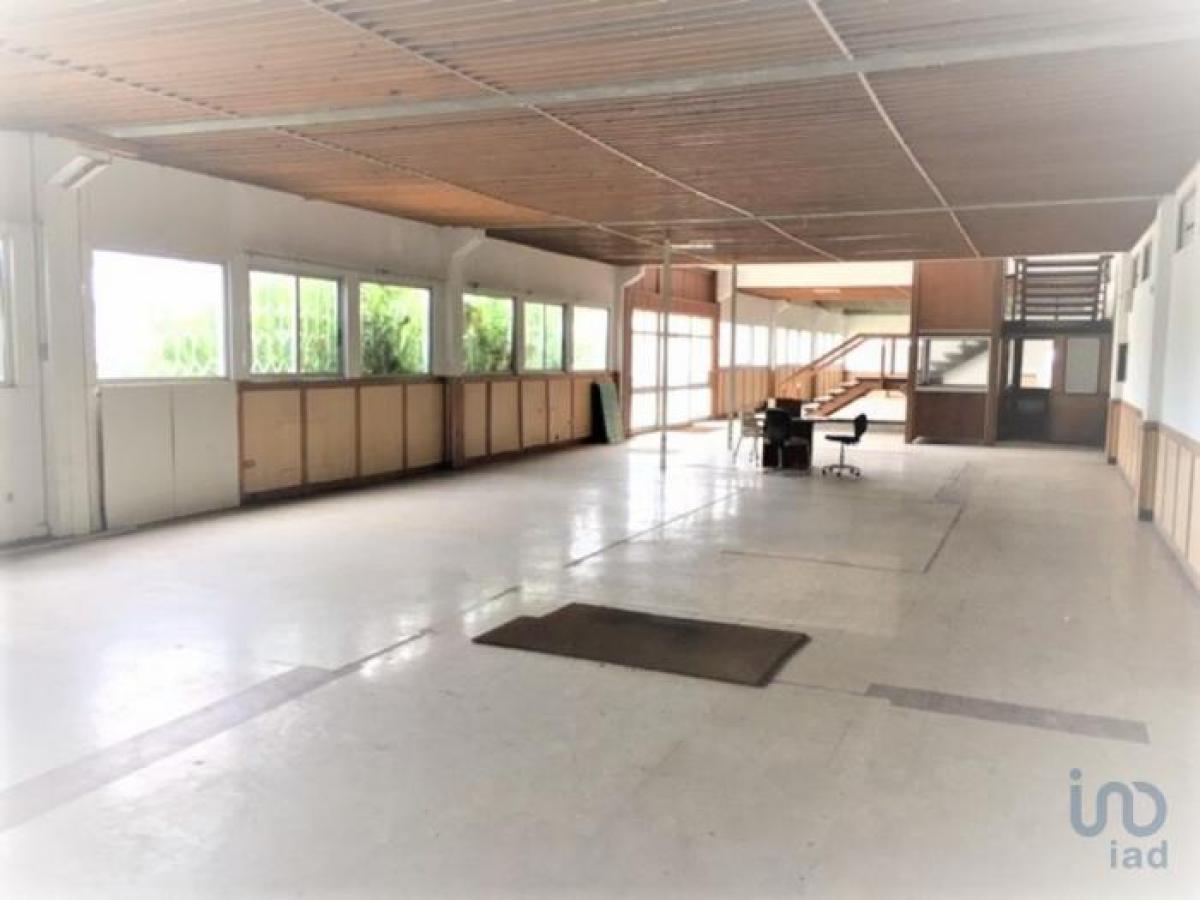  محل تجاري في Sintra, Portugal 2750متر مربع رقم 8277