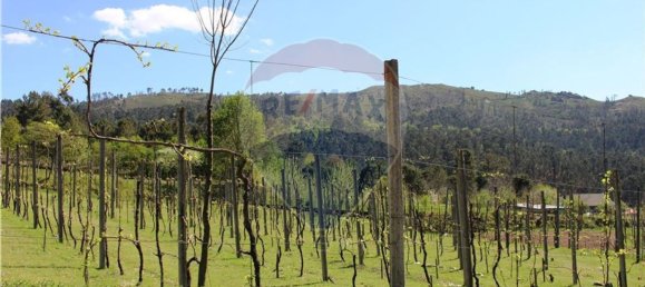 4 غرف نوم منزل في Rossas, Portugal رقم 34450 40