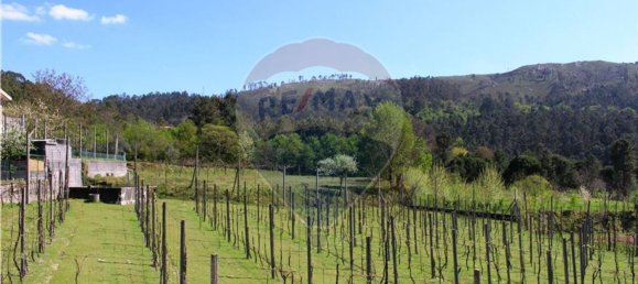 4 غرف نوم منزل في Rossas, Portugal رقم 34450 47