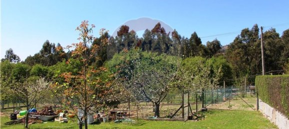 4 غرف نوم منزل في Rossas, Portugal رقم 34450 36