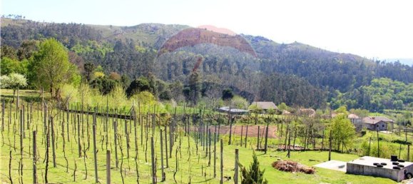 4 غرف نوم منزل في Rossas, Portugal رقم 34450 48