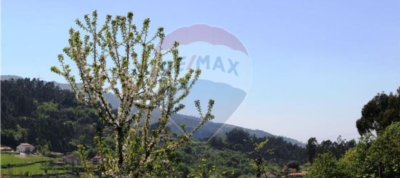 4 غرف نوم منزل في Rossas, Portugal رقم 34450 32