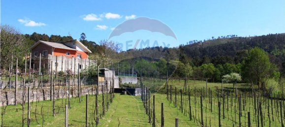 4 غرف نوم منزل في Rossas, Portugal رقم 34450 46