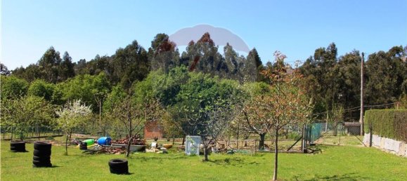 4 غرف نوم منزل في Rossas, Portugal رقم 34450 34