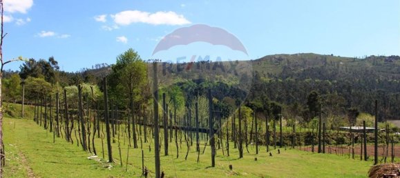 4 غرف نوم منزل في Rossas, Portugal رقم 34450 41