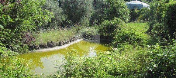 4000m² Land in Potenza Picena, Italy No. 135800 8