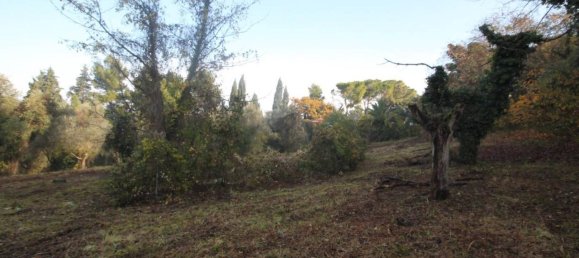 4000m² Land in Potenza Picena, Italy No. 135800 13