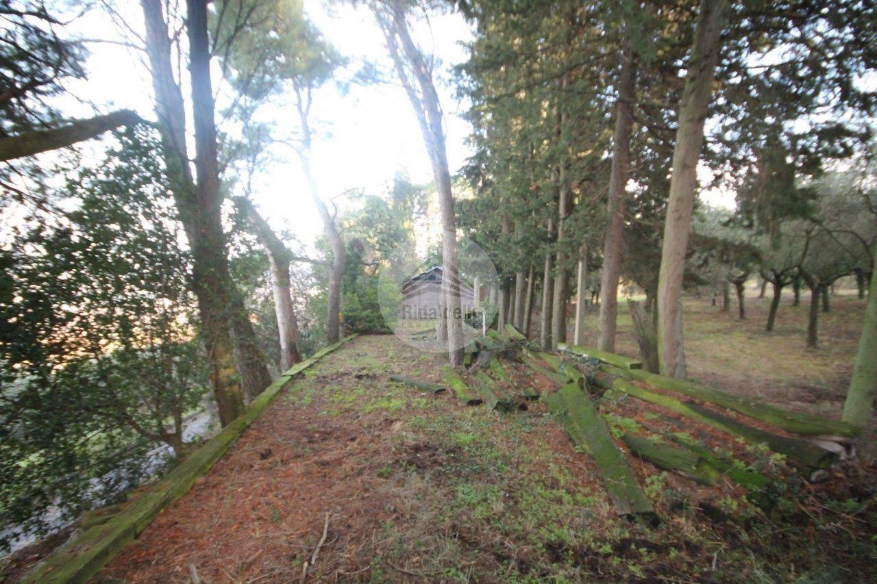 4000m² Land in Potenza Picena, Italy No. 135800