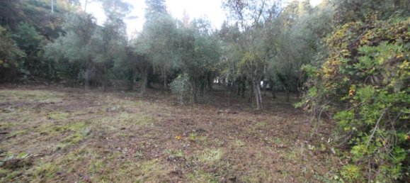 4000m² Land in Potenza Picena, Italy No. 135800 11