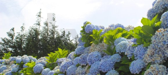 Grundstück in Santa Cruz, Portugal 320m², Nr. 216952 48