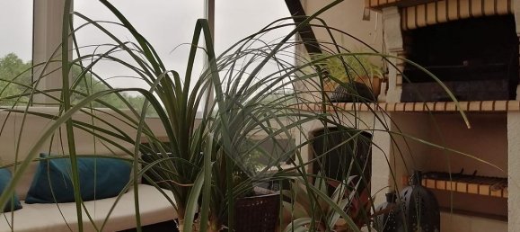 5 Schlafzimmer Haus in Mafra, Portugal, Nr. 34455 35