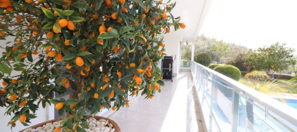 Villa 4+1 à Kargicak, Turkey No. 14634 10