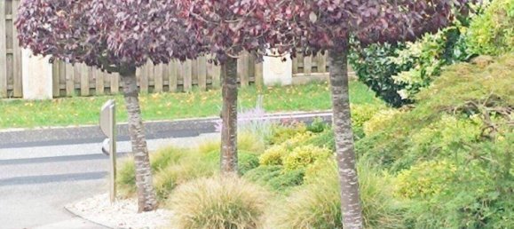 4 rooms House in Graz-Umgebung, Austria No. 257955 11