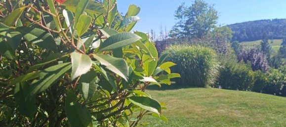 4 rooms House in Graz-Umgebung, Austria No. 257955 13