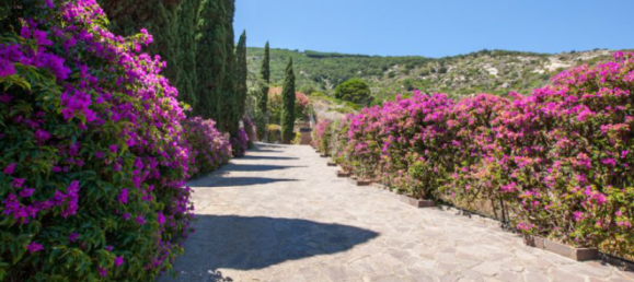 3 Schlafzimmer Villa in Monte Argentario, Italy, Nr. 167829 8