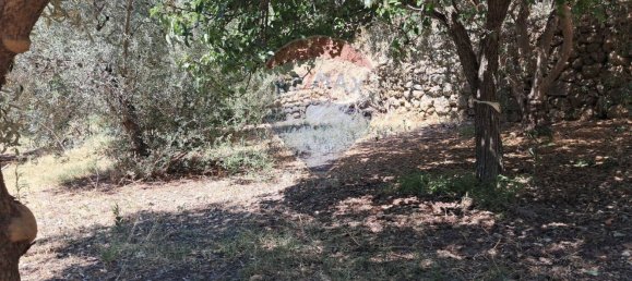 Terrain à Castelmola, Italy 1800m² No. 277604 14