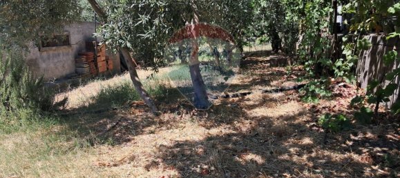 Terrain à Castelmola, Italy 1800m² No. 277604 27