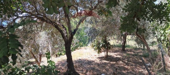 Terrain à Castelmola, Italy 1800m² No. 277604 22