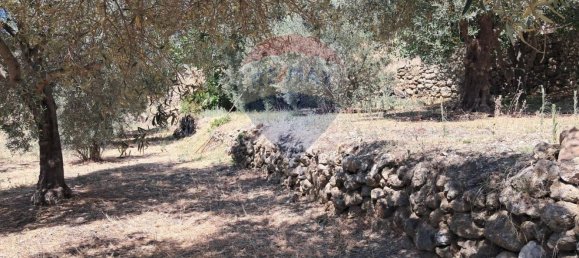 Terrain à Castelmola, Italy 1800m² No. 277604 12