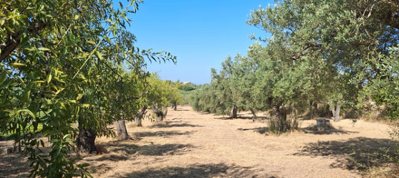 2297m² Land in Genoa, Italy No. 292242 3