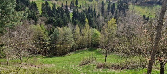 6 Schlafzimmer Haus in Wolfsberg, Austria, Nr. 214875 15