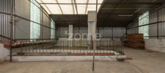 3 bedrooms House in Anadia, Portugal No. 87180 23