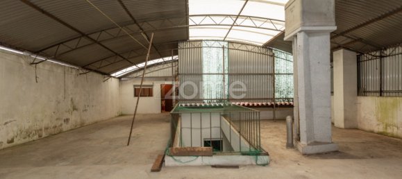 3 bedrooms House in Anadia, Portugal No. 87180 26