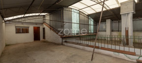 3 bedrooms House in Anadia, Portugal No. 87180 24