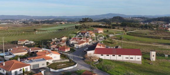 3 bedrooms House in Anadia, Portugal No. 87180 31