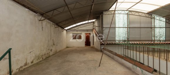 3 bedrooms House in Anadia, Portugal No. 87180 25