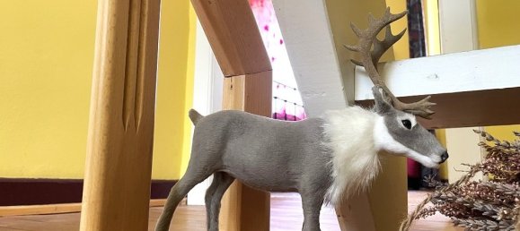 Дом с 3 спальнями в Бернкастель-Витлих, Германия № 205412 11