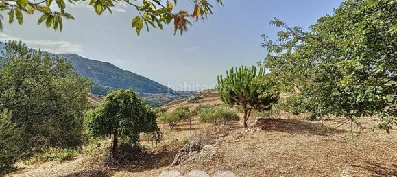 4 bedrooms House in Alcaucin, Spain No. 45143 34