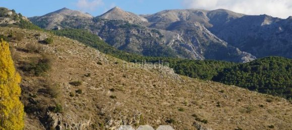 4 bedrooms House in Alcaucin, Spain No. 45143 30