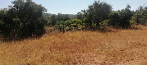  قطعة أرض في Loule, Portugal 1100متر مربع رقم 330604 7