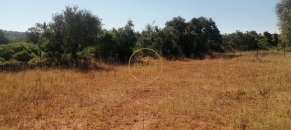  قطعة أرض في Loule, Portugal 1100متر مربع رقم 330604 8